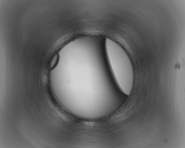 X0000090900071200707301020