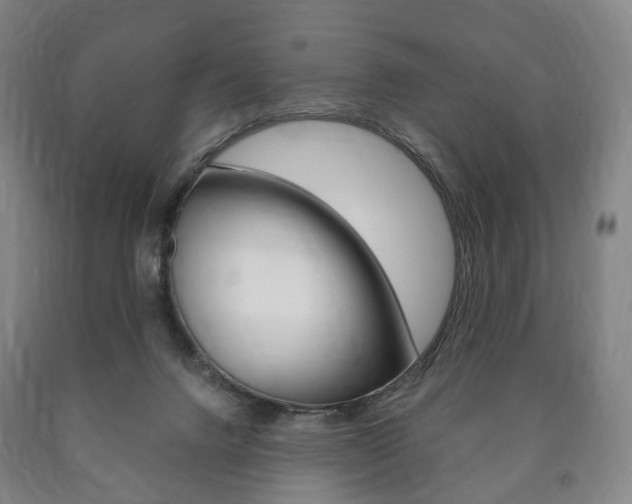 X0000090900072200707301020