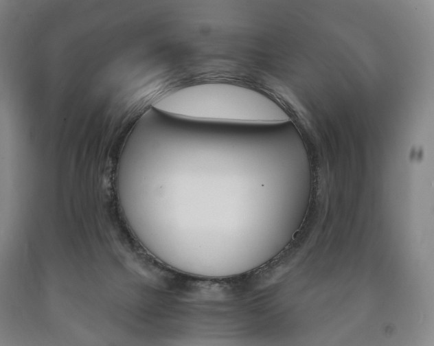 X0000090900073200707301020