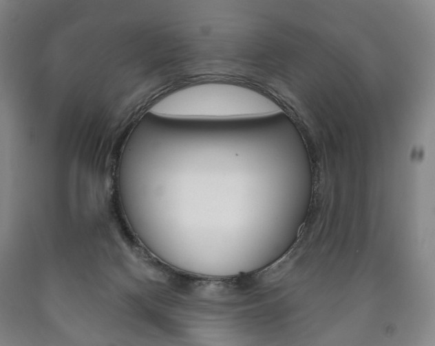 X0000090900074200707301020