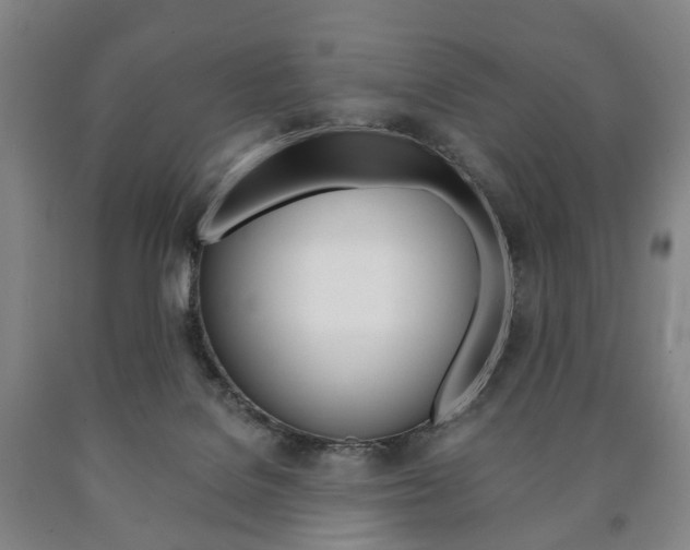 X0000090900076200707301020