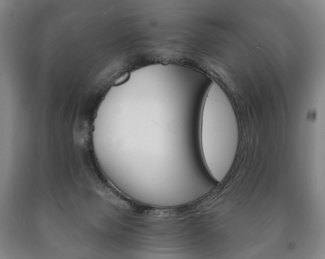 X0000090900077200707301020