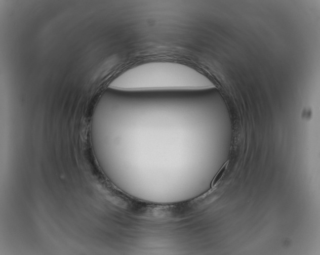 X0000090900078200707301020