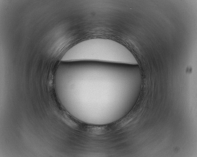 X0000090900081200707301020