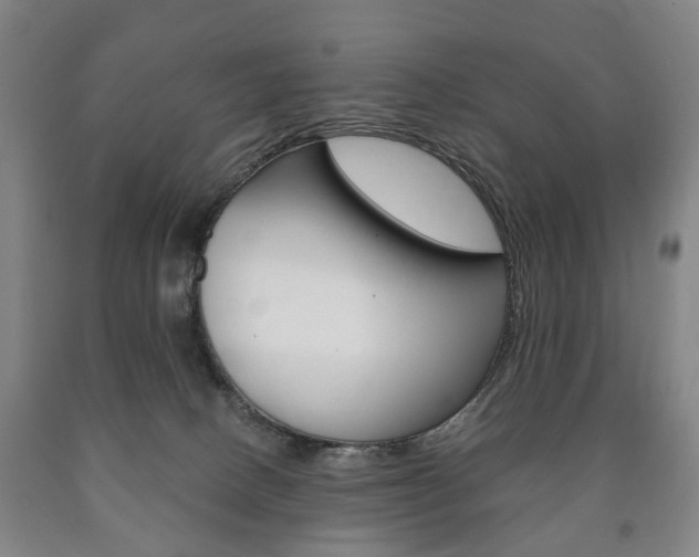 X0000090900082200707301020