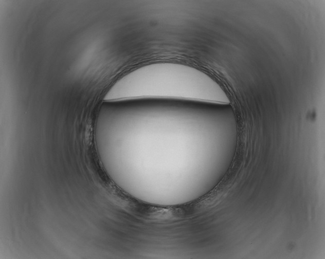 X0000090900083200707301020