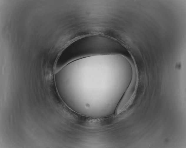 X0000090900084200707301020