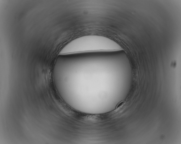 X0000090900086200707301020