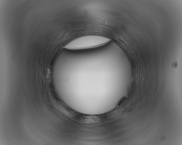 X0000090900087200707301020