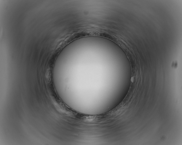 X0000090900088200707301020