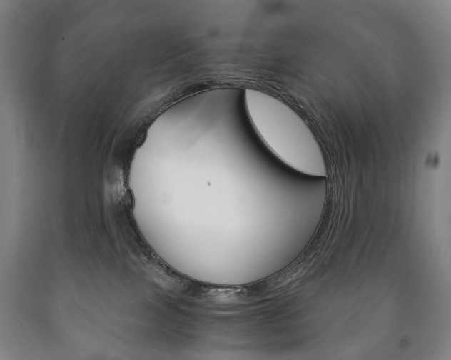 X0000090900089200707301020