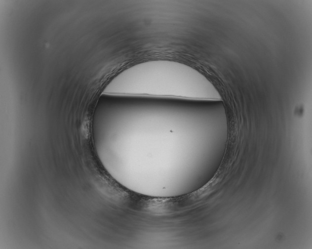 X0000090900090200707301020
