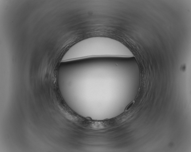 X0000090900091200707301020