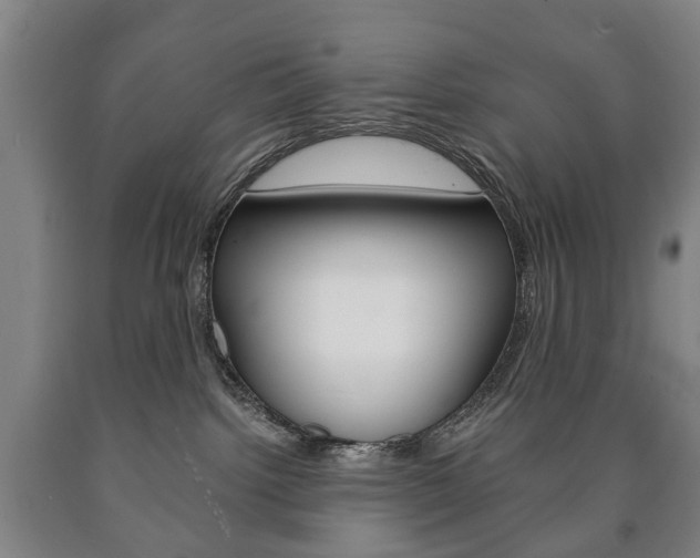 X0000090900092200707301020