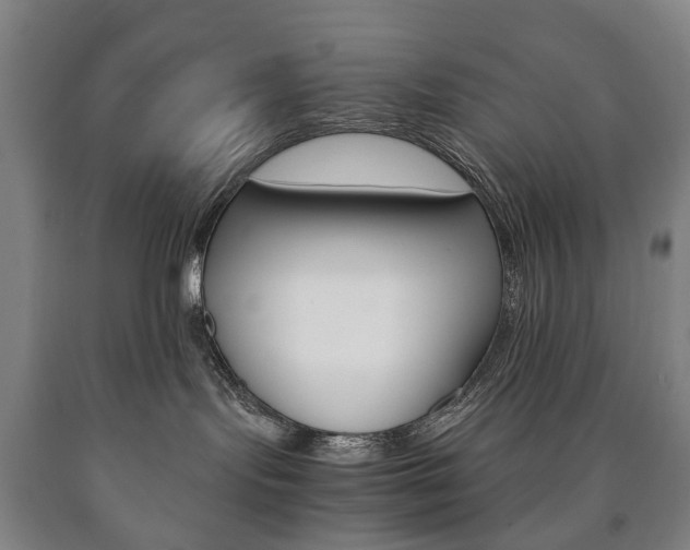 X0000090900095200707301020