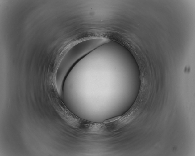 X0000090900096200707301020