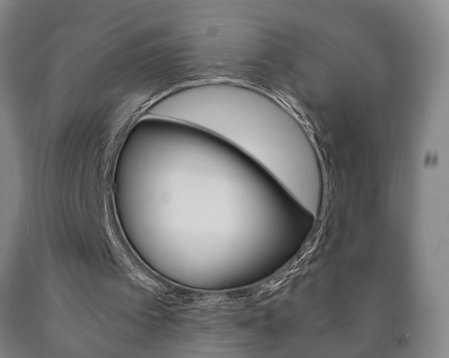 X0000090900097200707301020