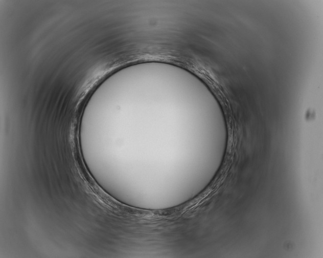 X0000090900098200707301020