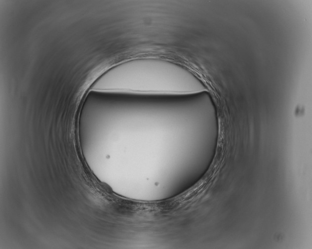 X0000090900099200707301020