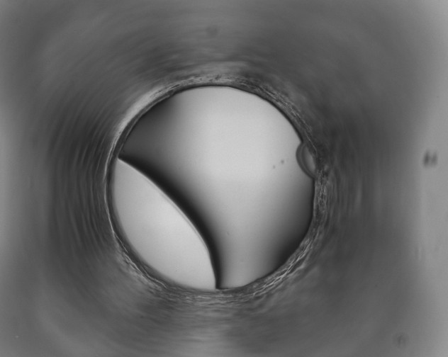 X0000090900100200707301020