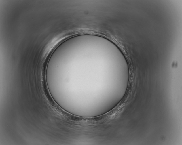 X0000090900103200707301020