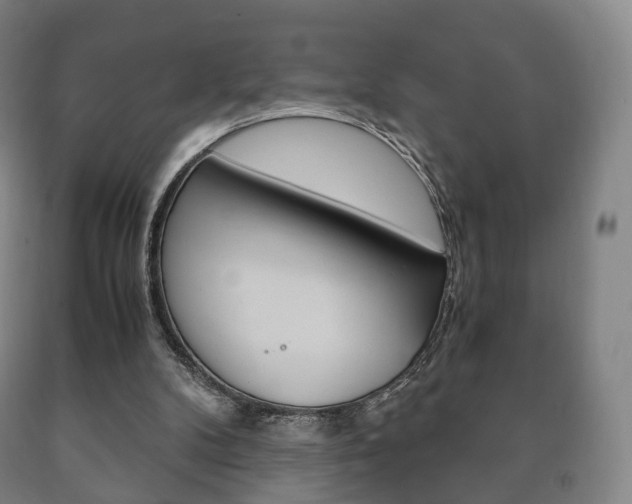 X0000090900104200707301020