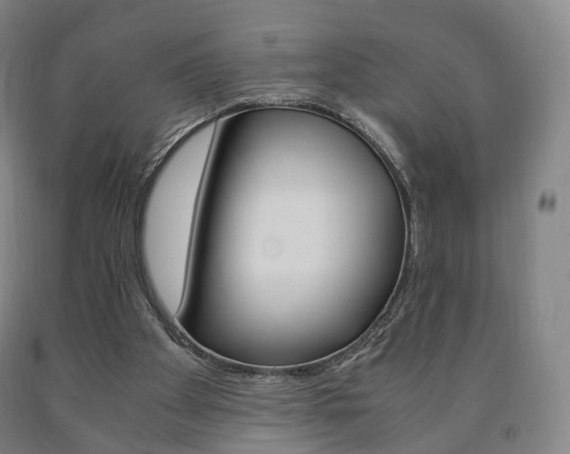 X0000090900105200707301020