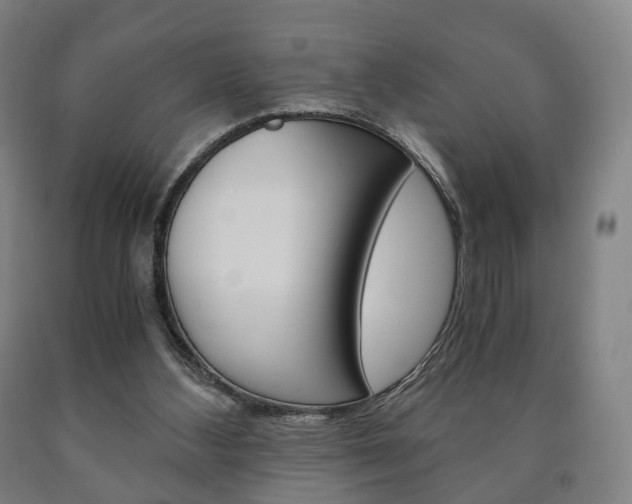 X0000090900108200707301020