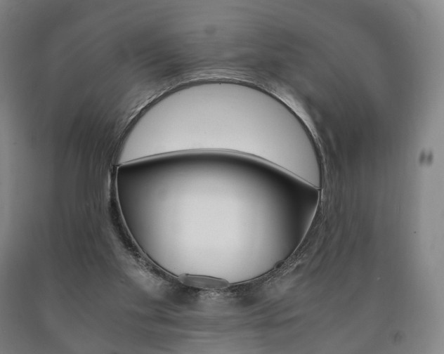 X0000090900109200707301020