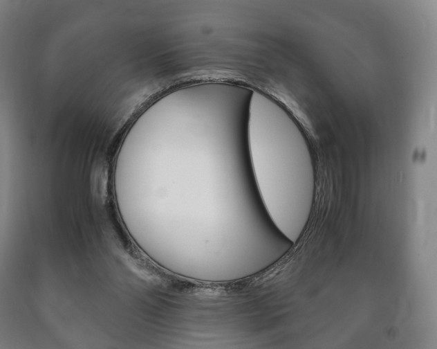 X0000090900110200707301020
