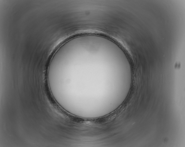 X0000090900111200707301019