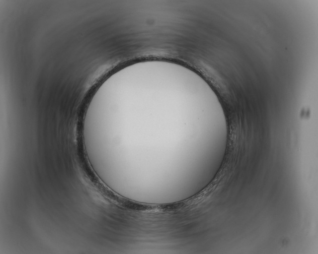 X0000090900112200707301019