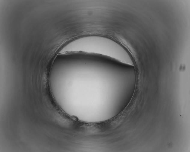 X0000090900113200707301019