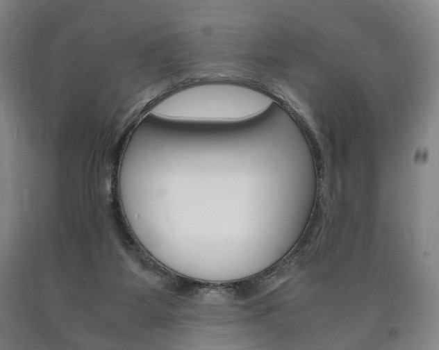 X0000090900115200707301019
