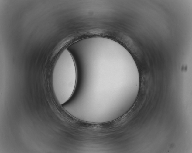 X0000090900116200707301019