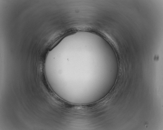 X0000090900117200707301019