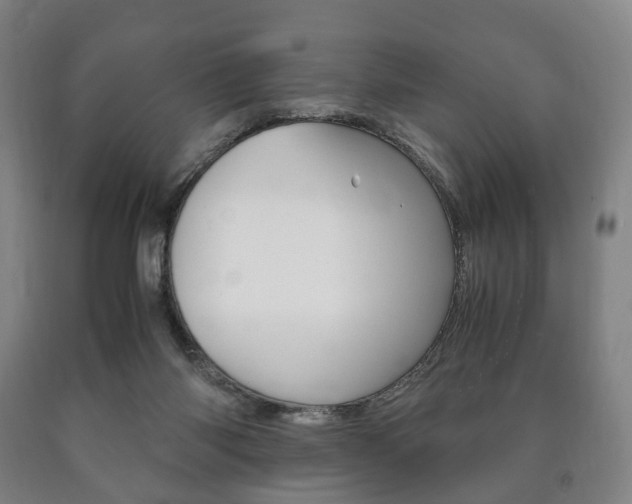X0000090900118200707301019