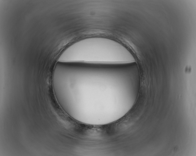 X0000090900119200707301019