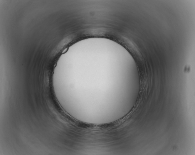 X0000090900120200707301019