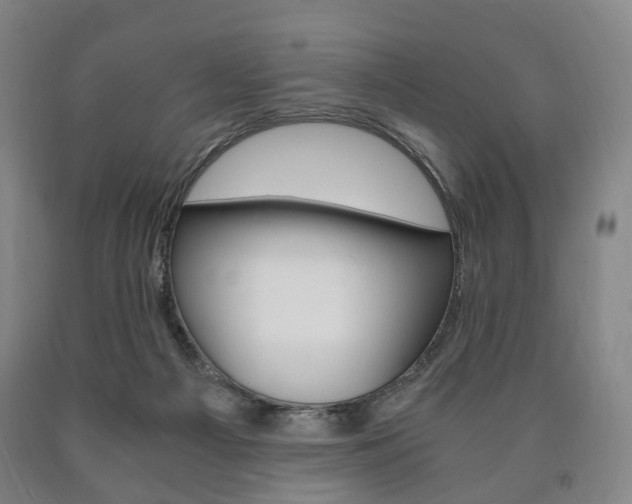 X0000090900121200707301019