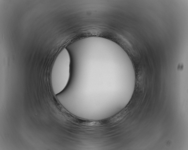 X0000090900122200707301019