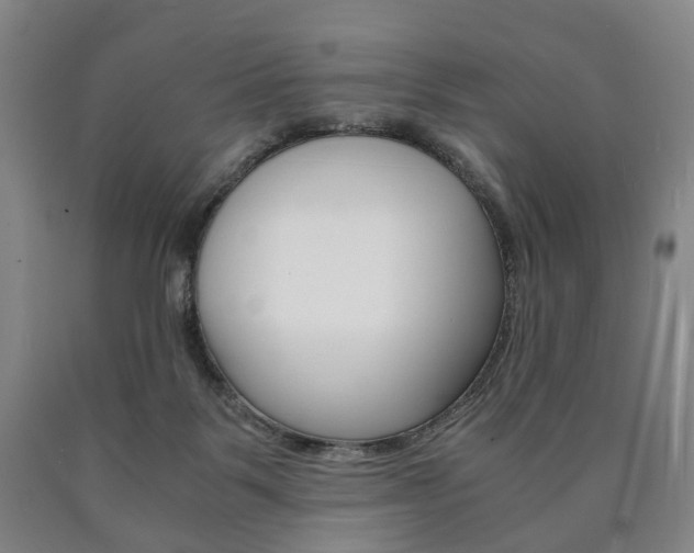 X0000090900123200707301019