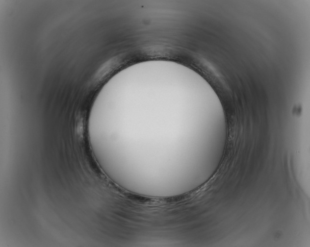 X0000090900124200707301019