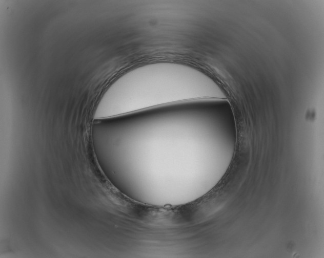 X0000090900125200707301019