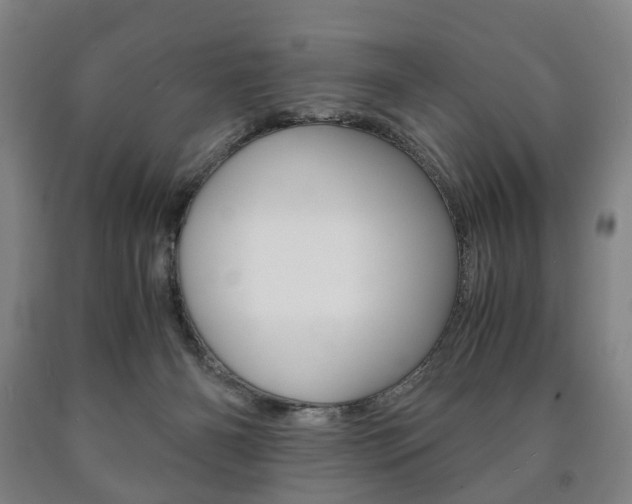 X0000090900126200707301019