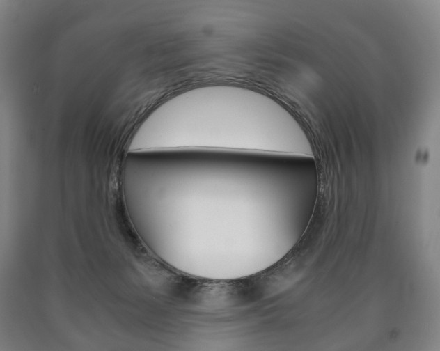 X0000090900127200707301019