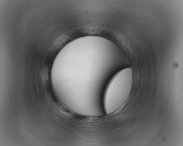 X0000090900128200707301019