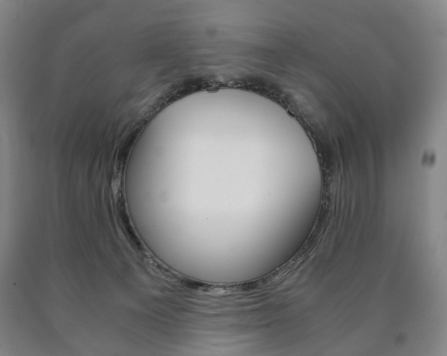 X0000090900129200707301019