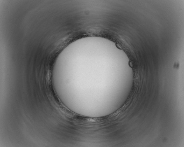 X0000090900130200707301019
