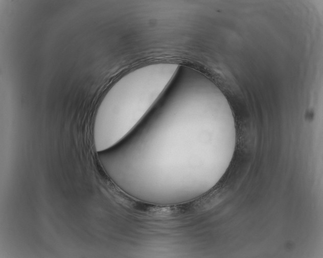 X0000090900131200707301019
